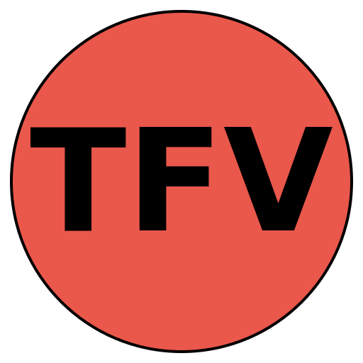 TrueFit Values